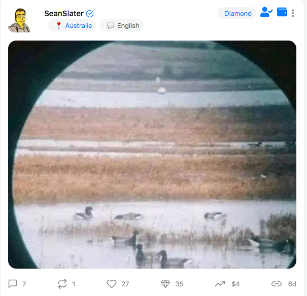 Diamonds-08-SeanSlater